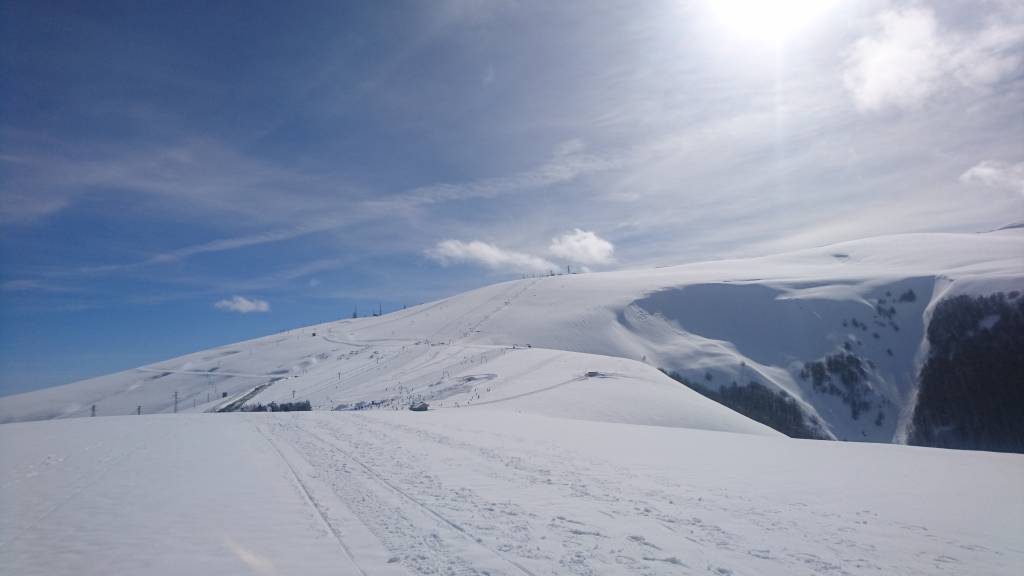 neve3 neve3