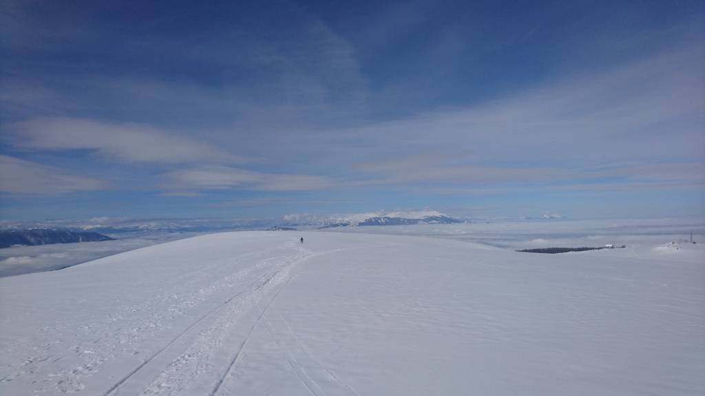 neve4 neve4